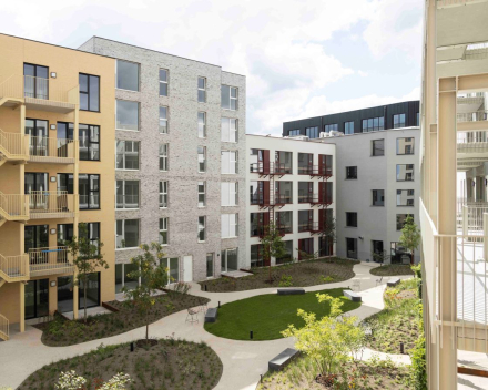 IBS project LIFE 'The Bunch' - Antwerpen