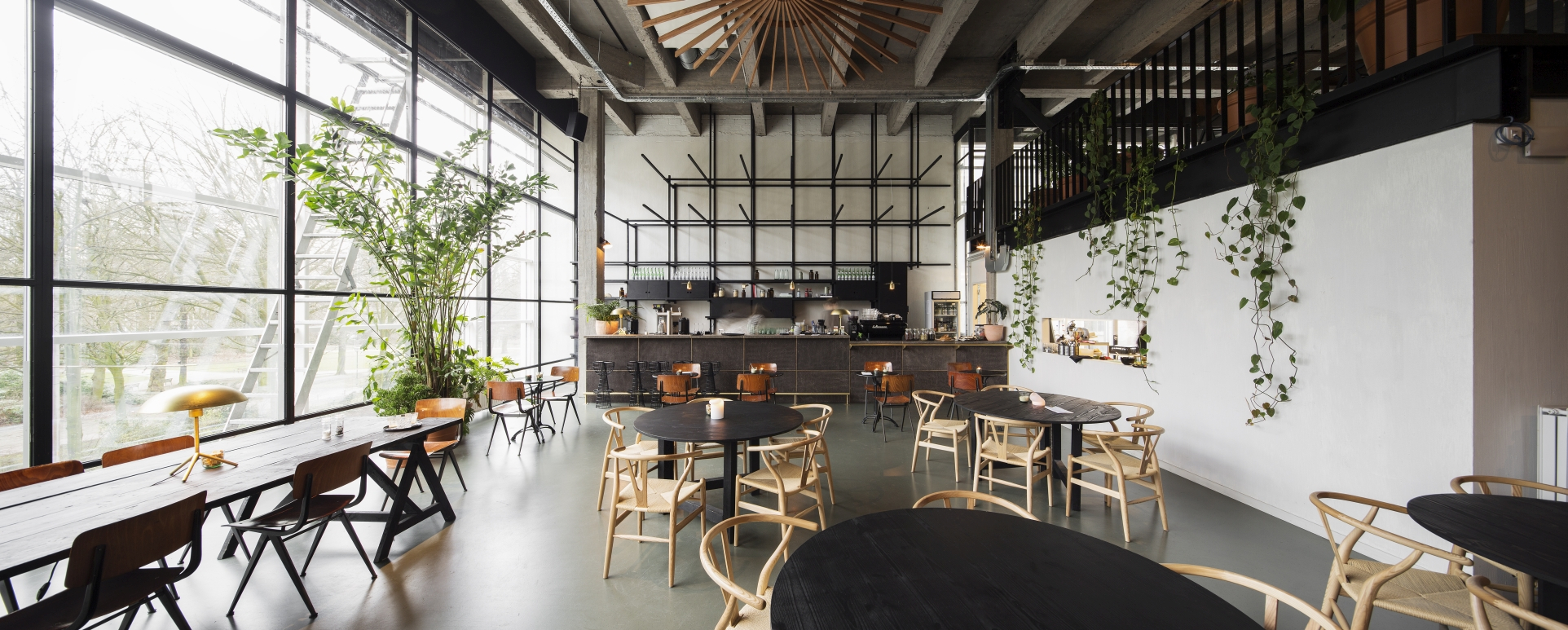 IBS project Fosbury & Sons - Antwerpen